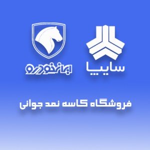 فروش کاسه نمد